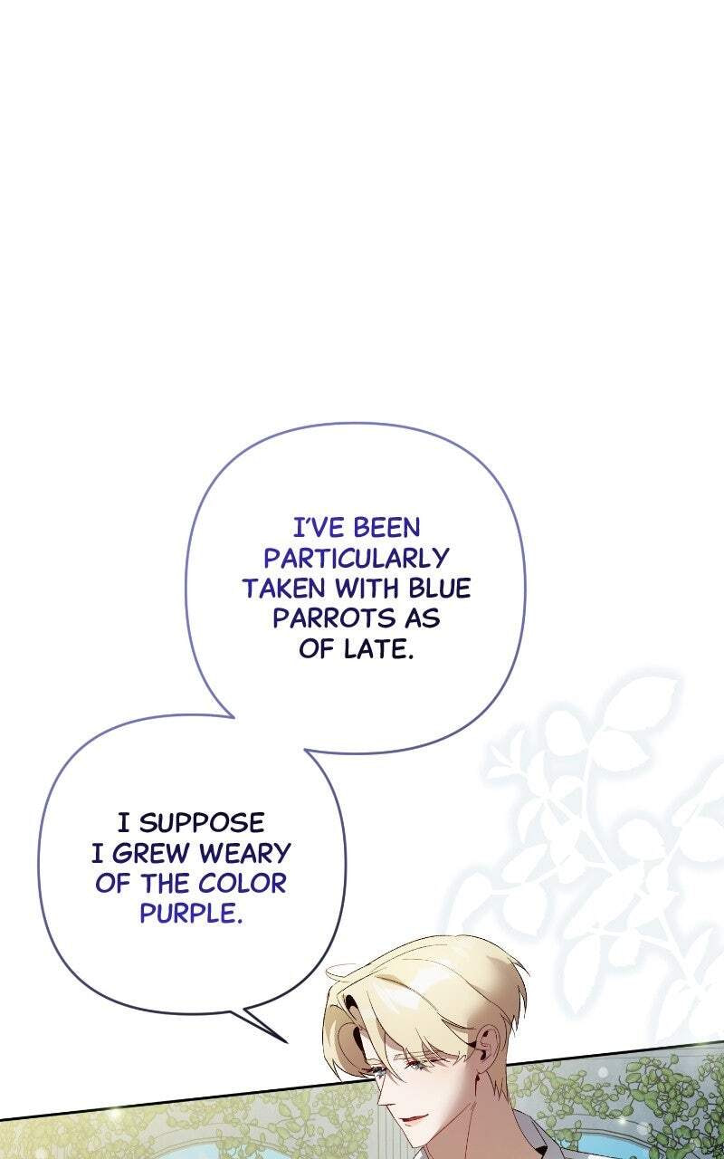 The Dark Duke's Pet Bird Chapter 21 page 41 - 