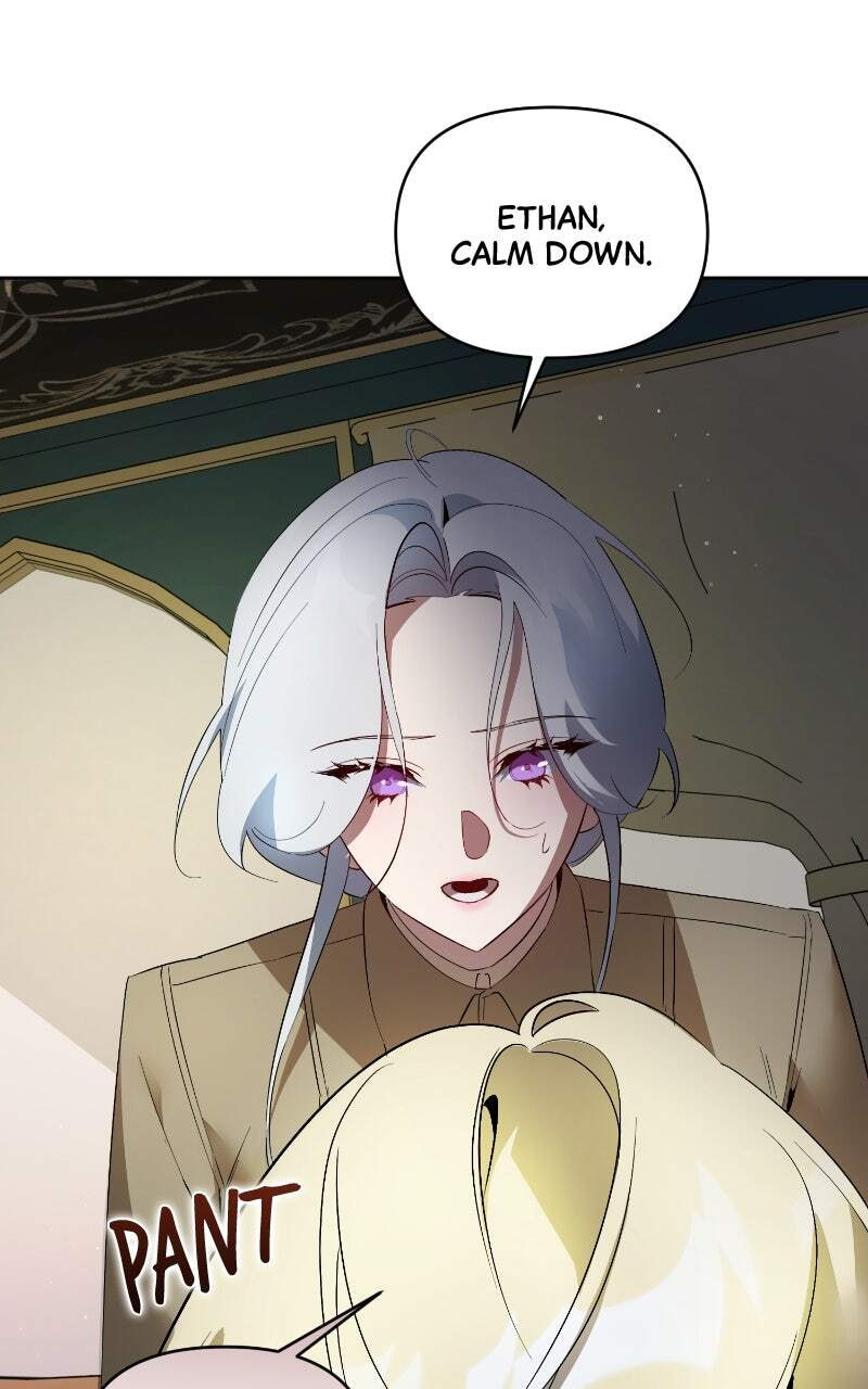 The Dark Duke's Pet Bird Chapter 33 page 3 - 