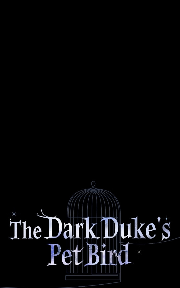 The Dark Duke's Pet Bird Chapter 39 page 21 - 