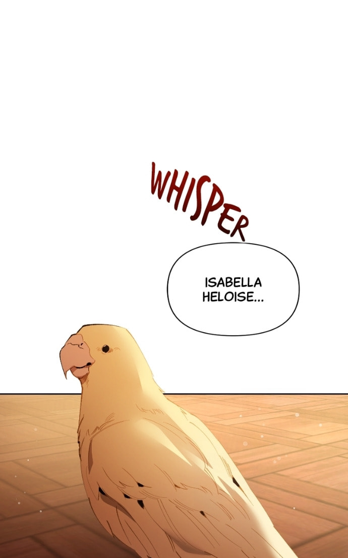 The Dark Duke's Pet Bird Chapter 39 page 95 - 