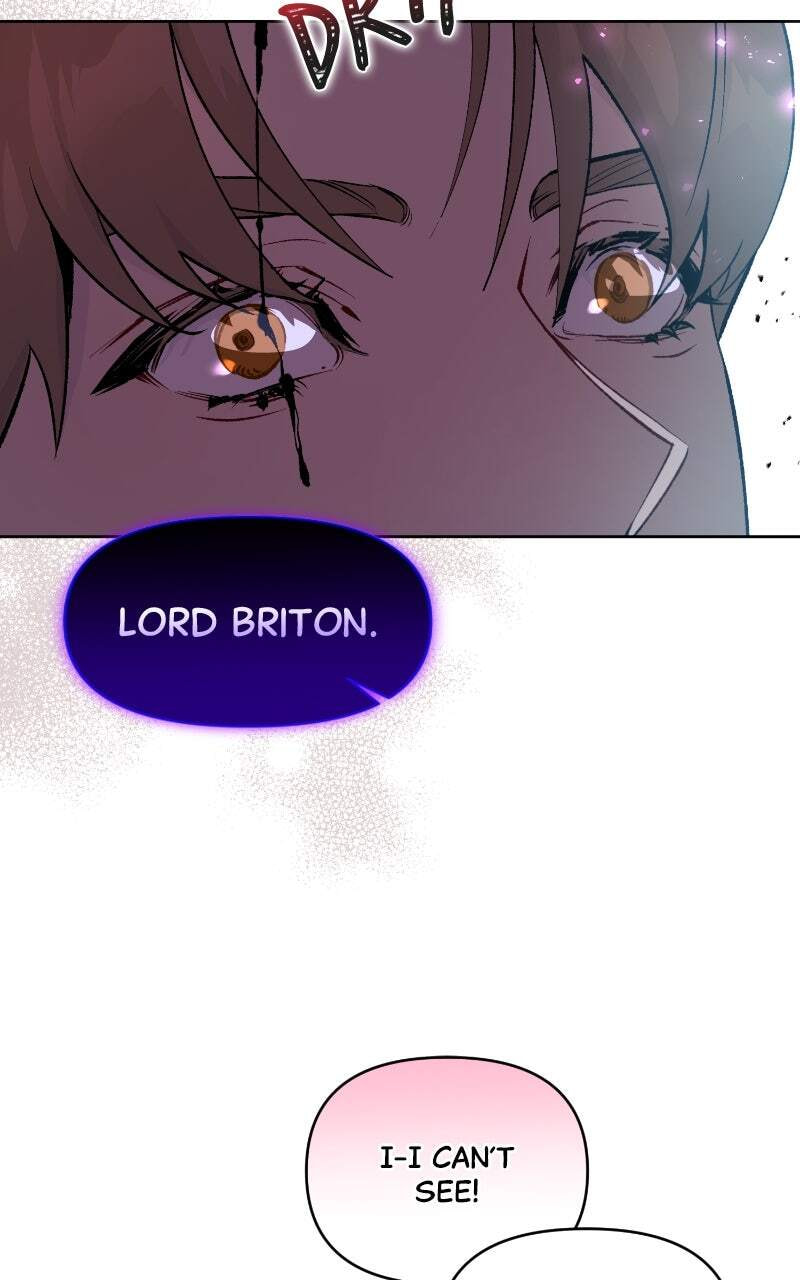 The Dark Duke's Pet Bird Chapter 4 page 47 - 