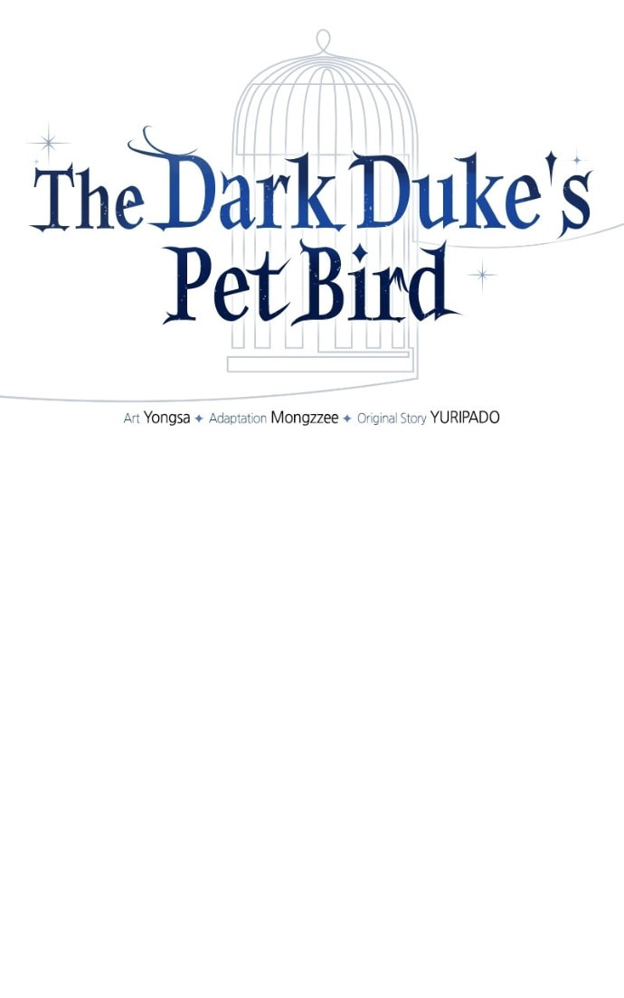 The Dark Duke's Pet Bird Chapter 40 page 3 - 