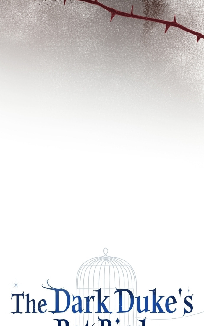 The Dark Duke's Pet Bird Chapter 49 page 28 - 