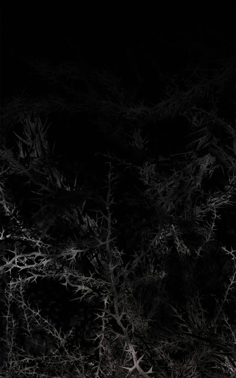 The Dark Lord's Confession Chapter 11.3 page 45 - 