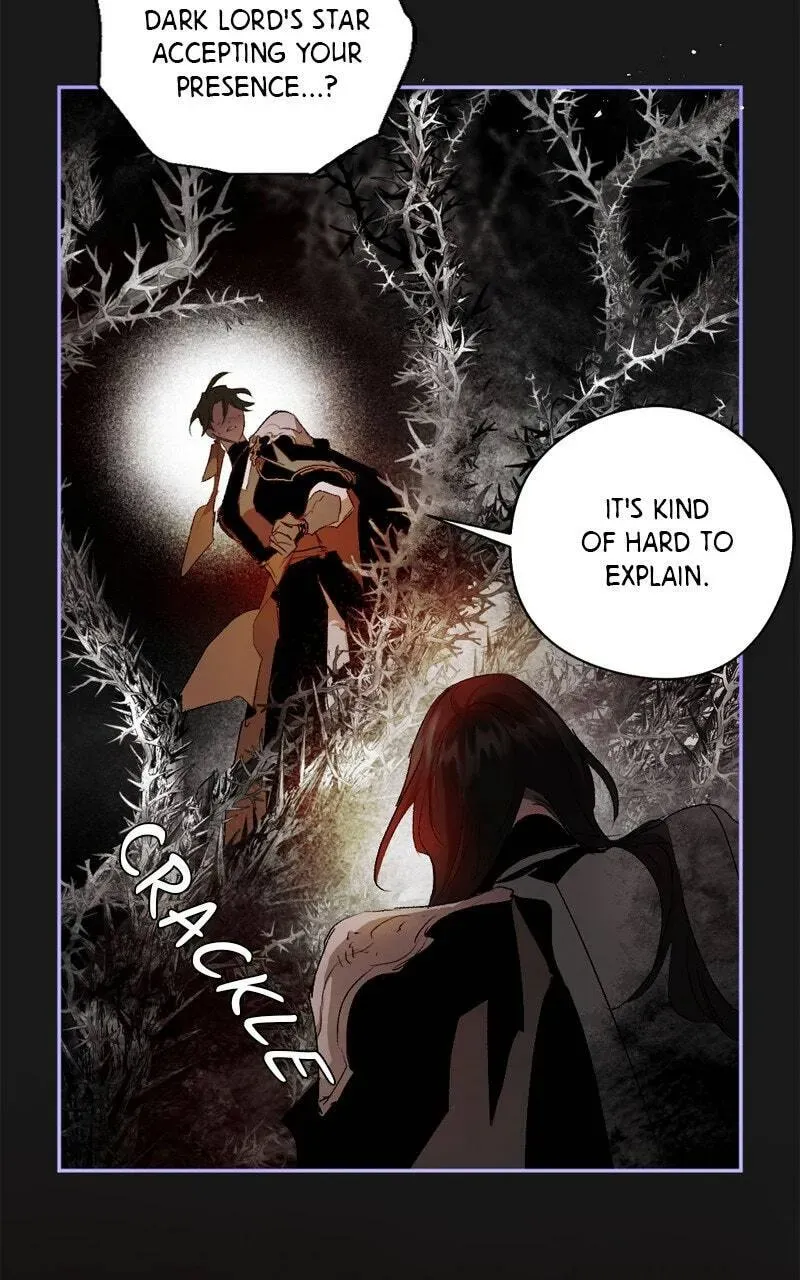 The Dark Lord's Confession Chapter 11.9 page 74 - 
