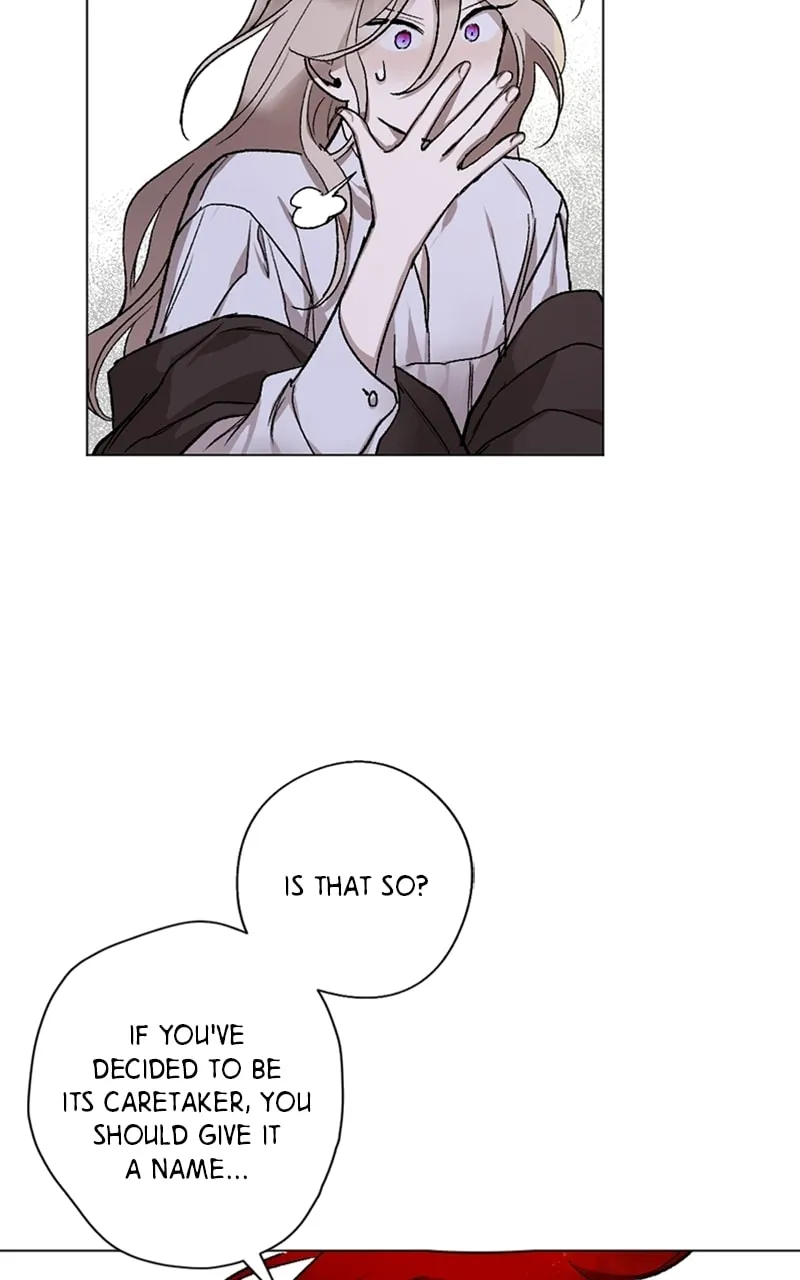 The Dark Lord's Confession Chapter 11 page 13 - 