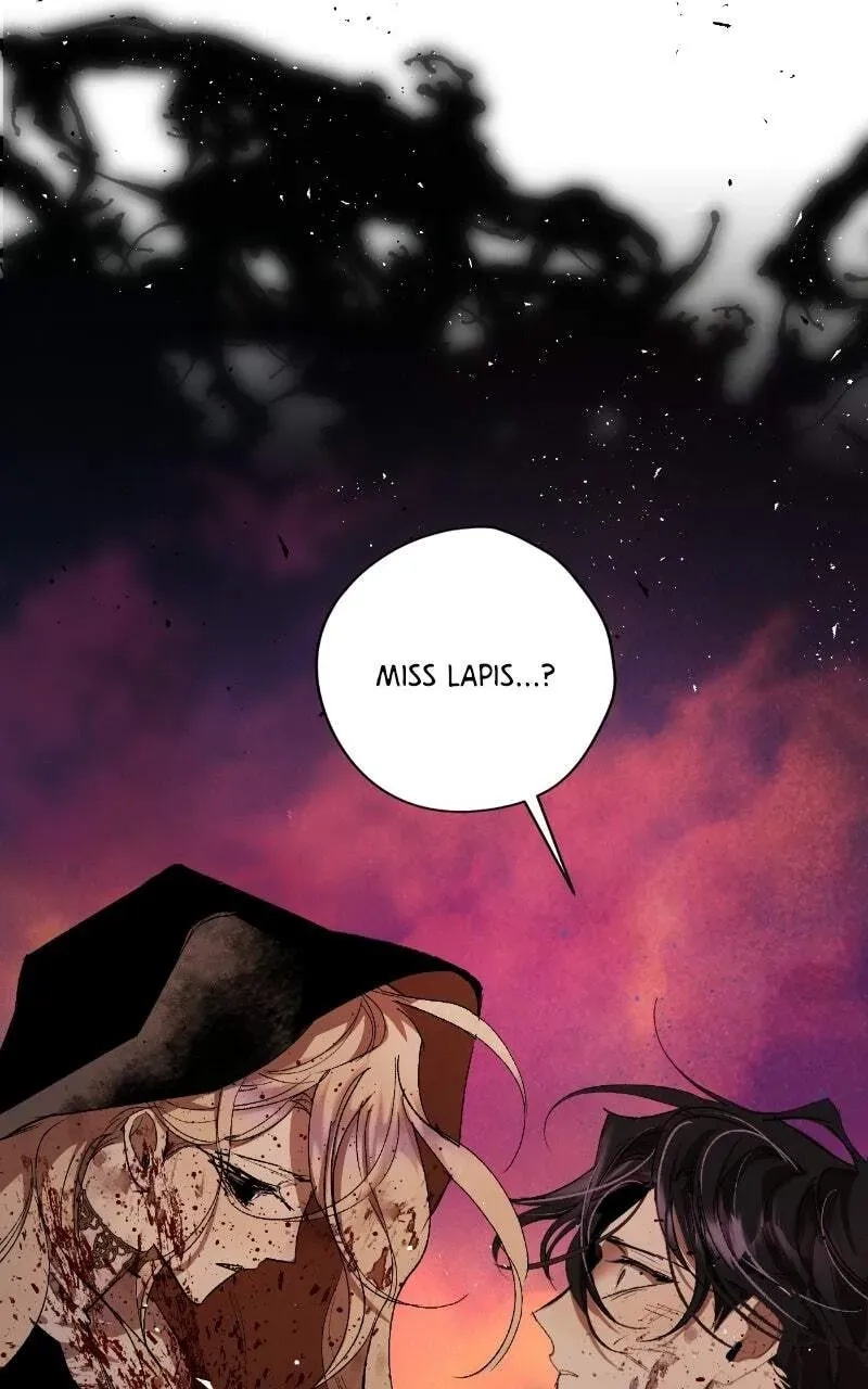 The Dark Lord's Confession Chapter 13.9 page 14 - 