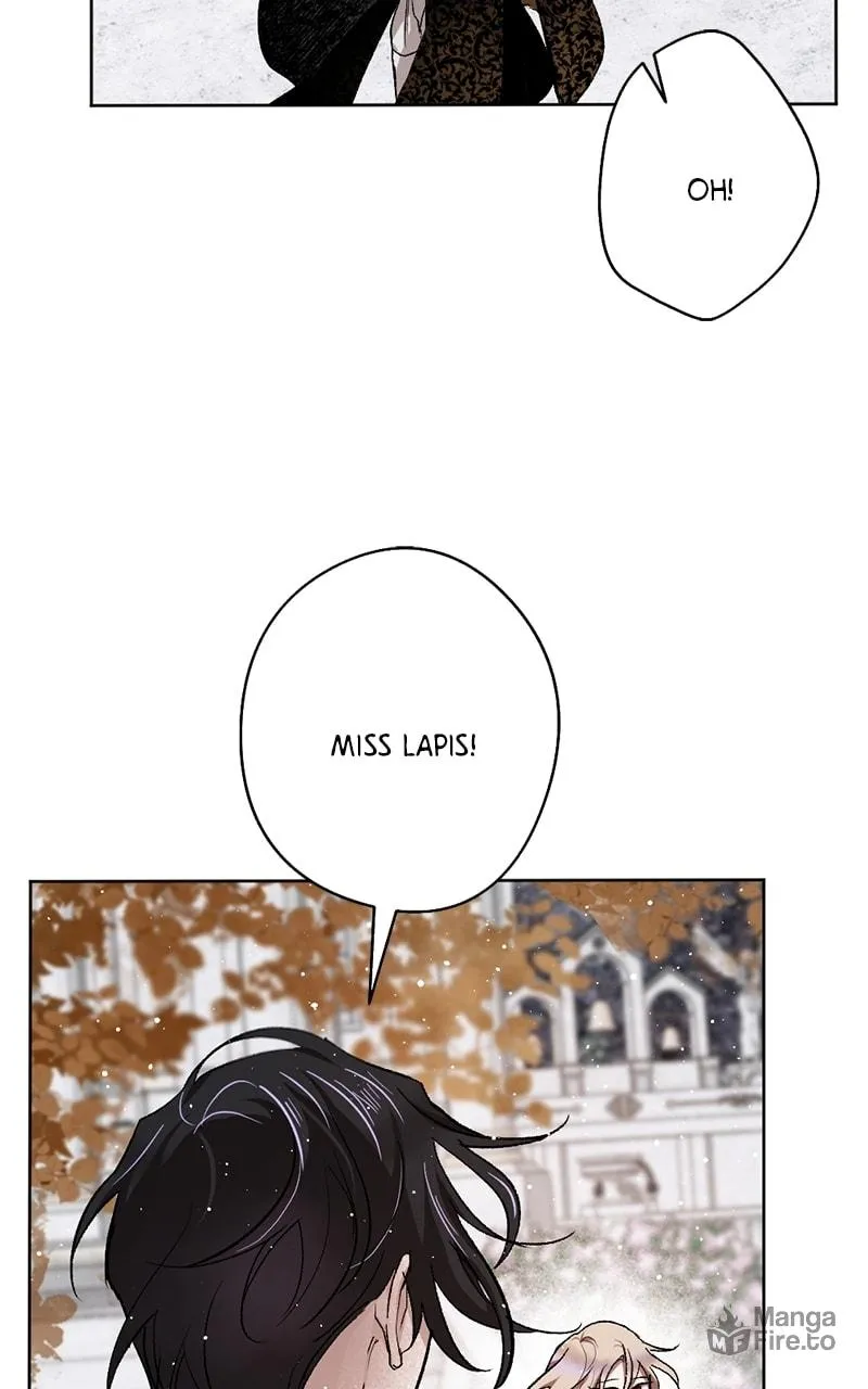 The Dark Lord's Confession Chapter 35 page 45 - 