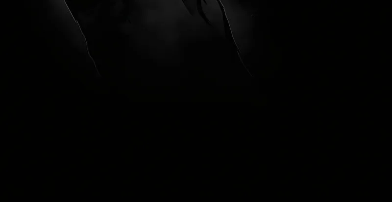 Read The Dark Lord
