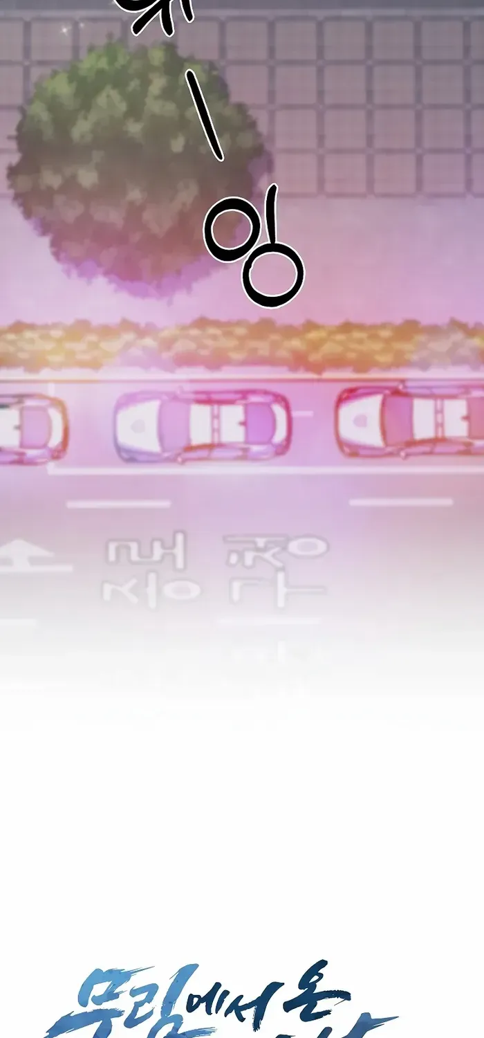 Read The Delivery Man From Murim chapter 30 image 21 on Lezhin