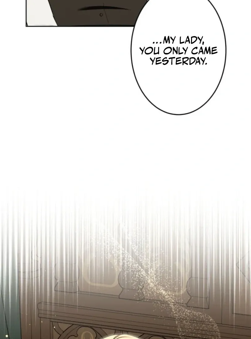 The Demon Duke’s Favor Begins the Second Time Around Chapter 4 page 179 - 