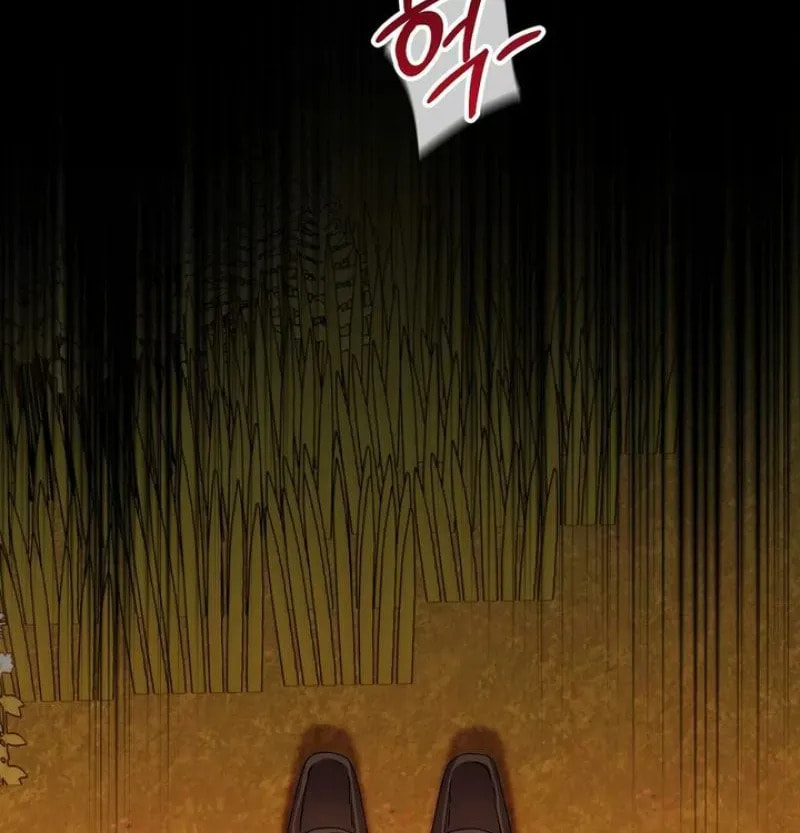 The Demon King Wants Peace Chapter 10 page 18 - 