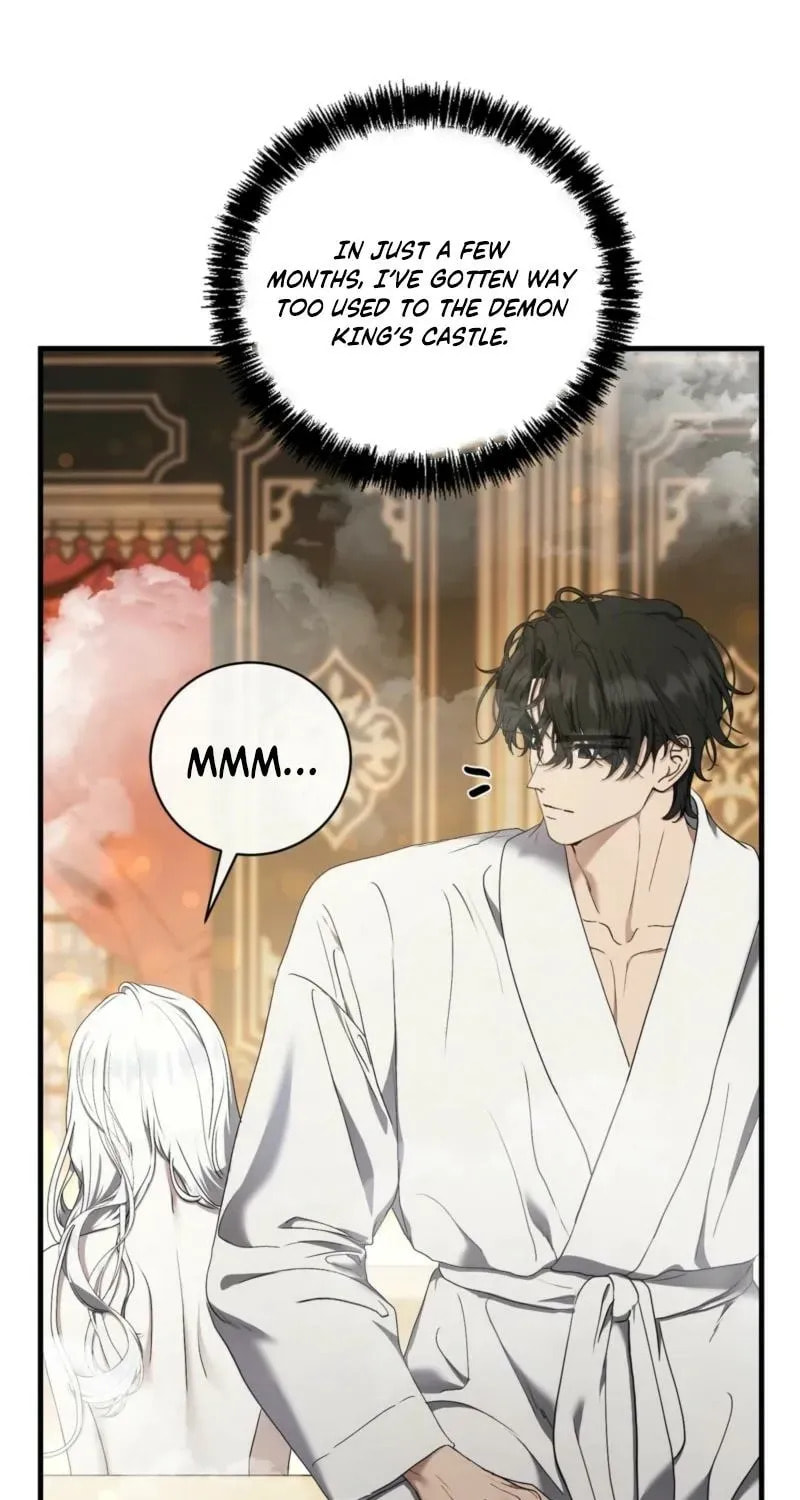 The Demon King Wants Peace Chapter 15 page 12 - 