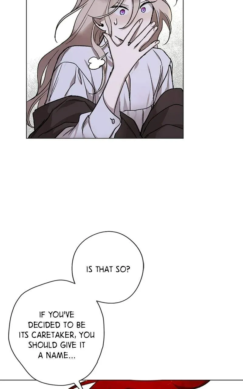 The Demon King’s Confession Chapter 2.1 page 13 - 