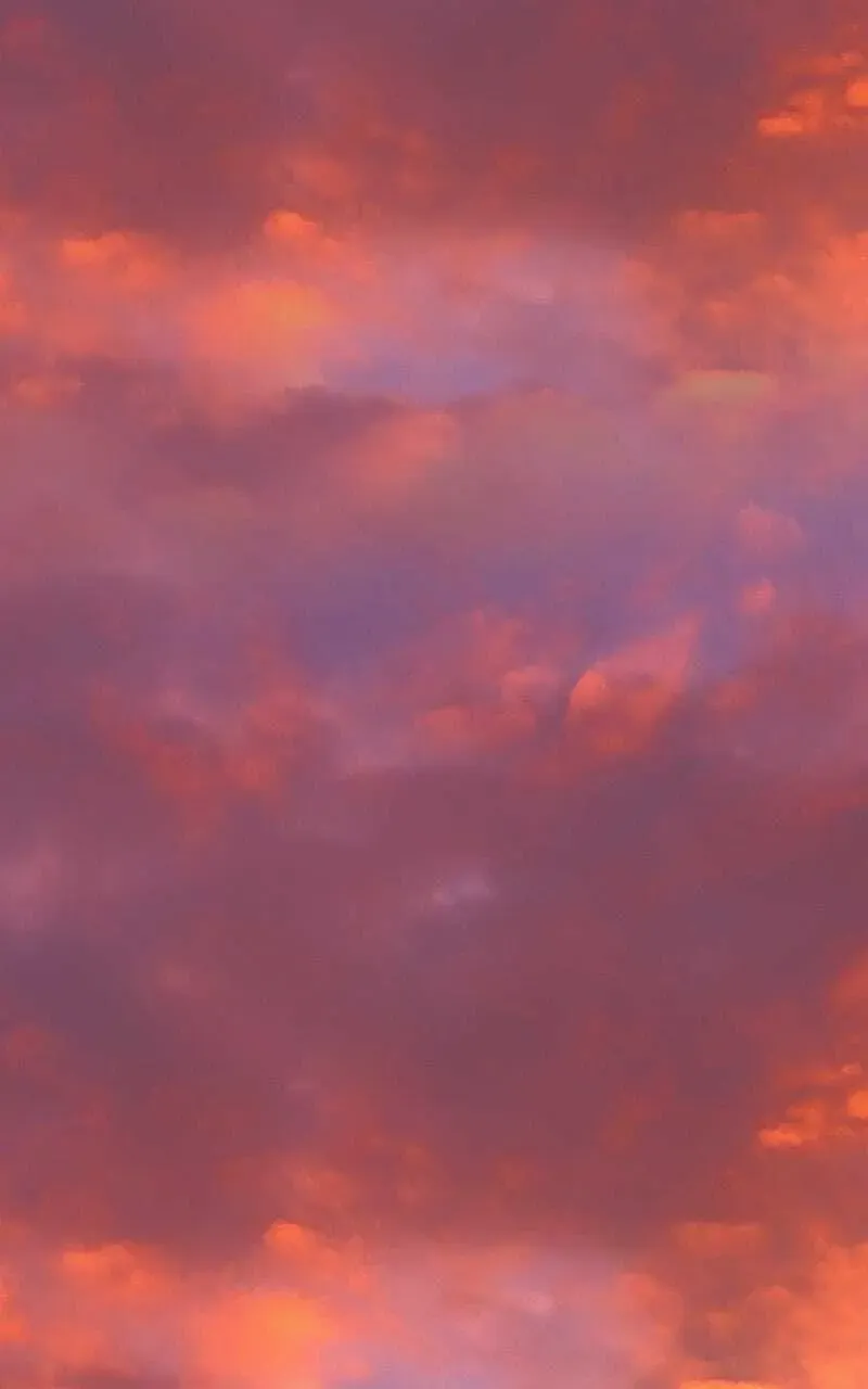 The Demon King’s Confession Chapter 8.4 page 69 - 