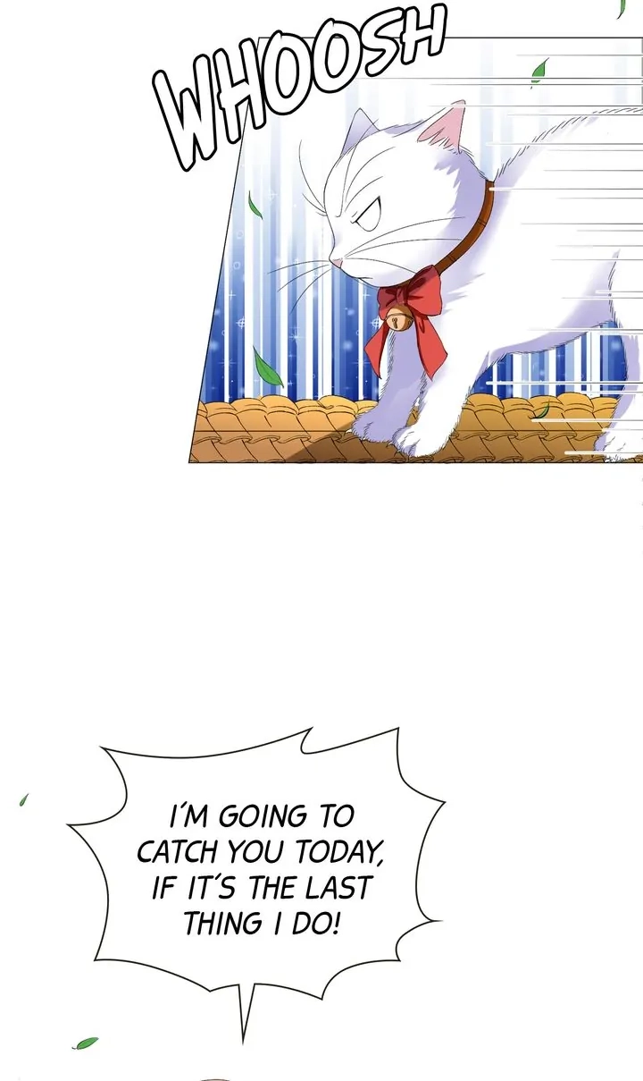 Read The Devil Duke