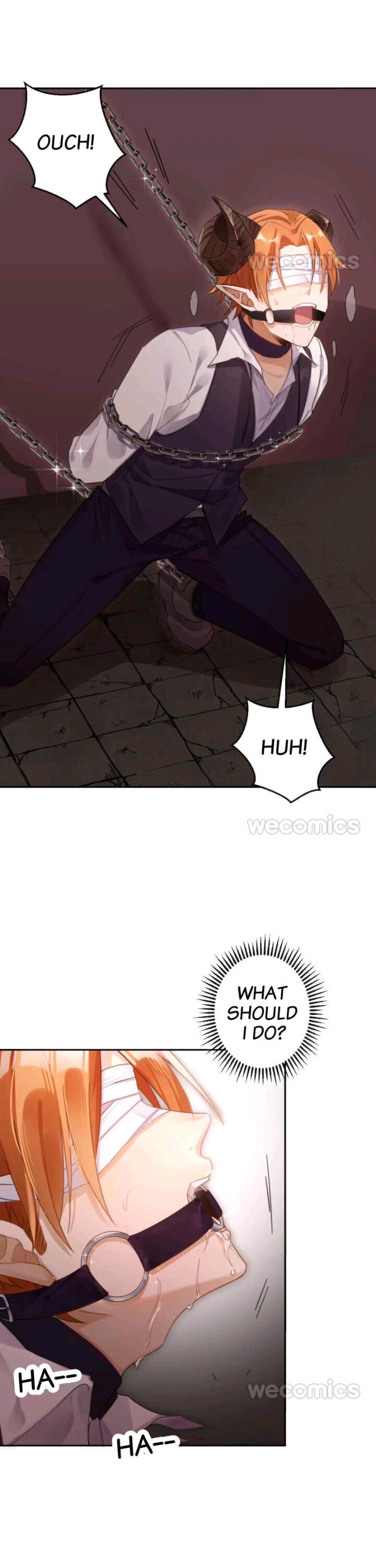 Read The Devil King