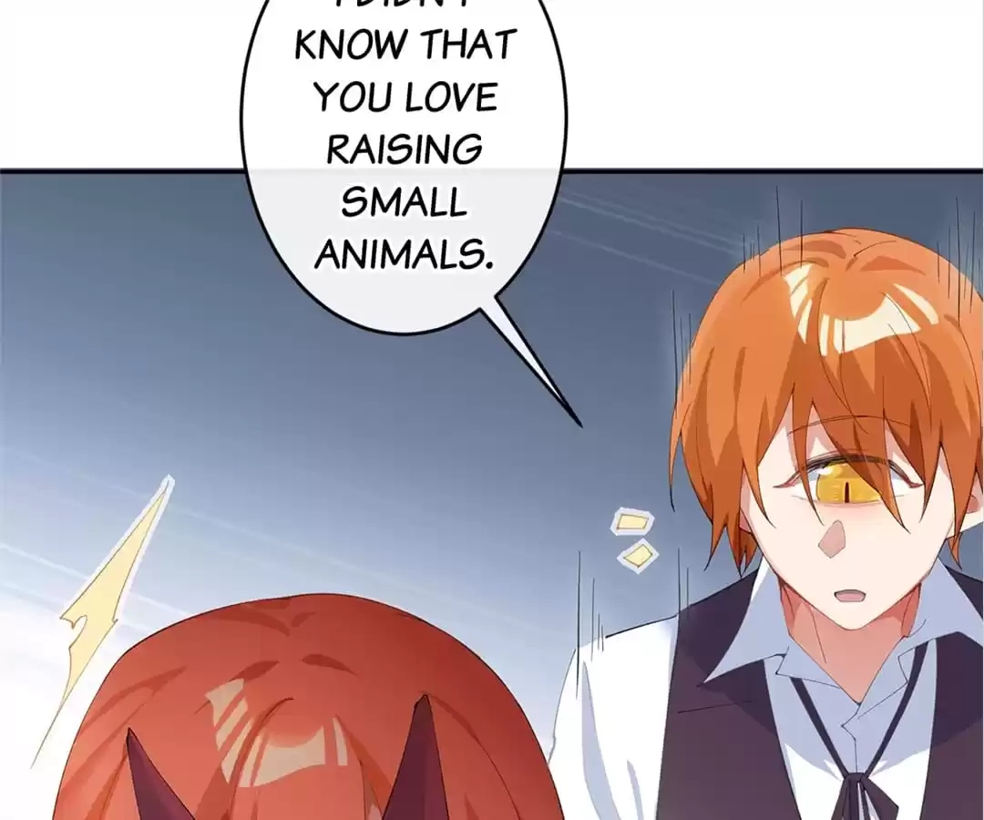 Read The Devil King