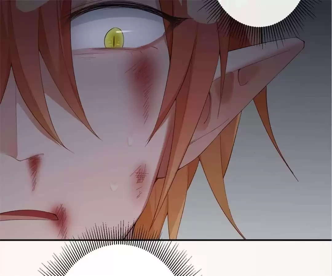 Read The Devil King