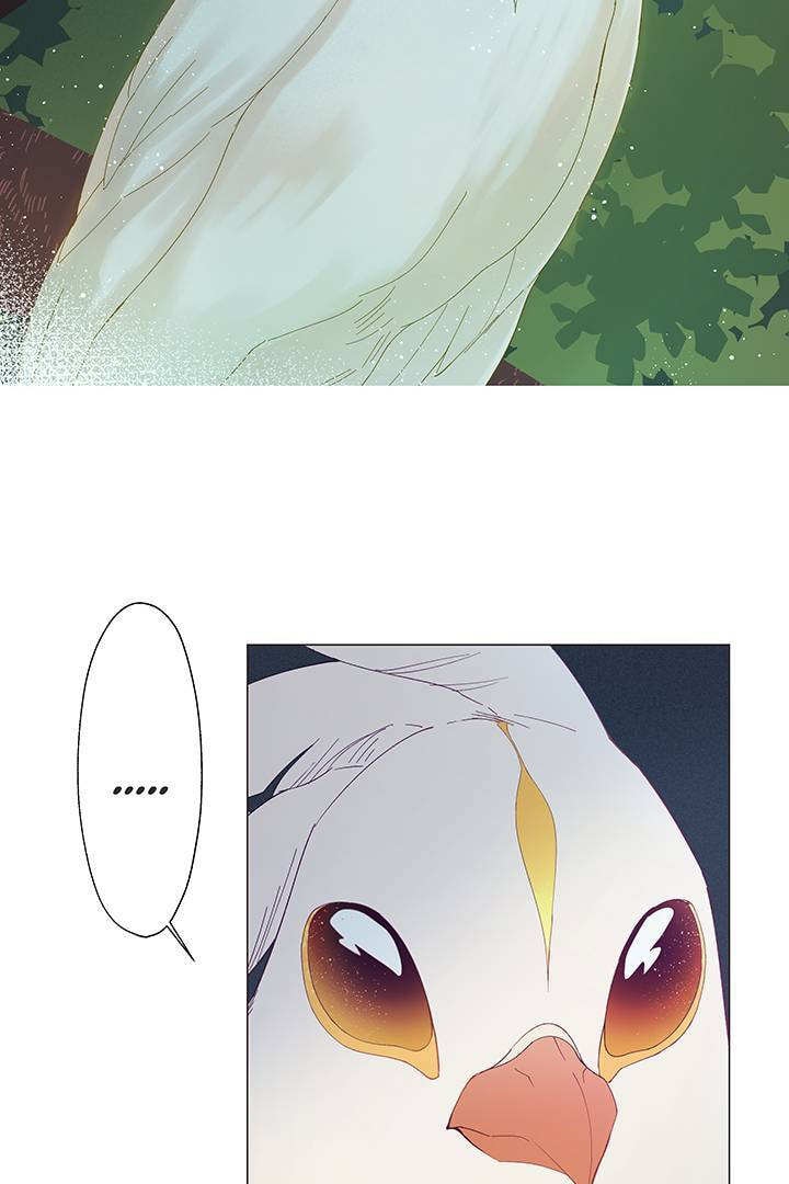 The Devil Knows Your Name Chapter 2 page 44 - 