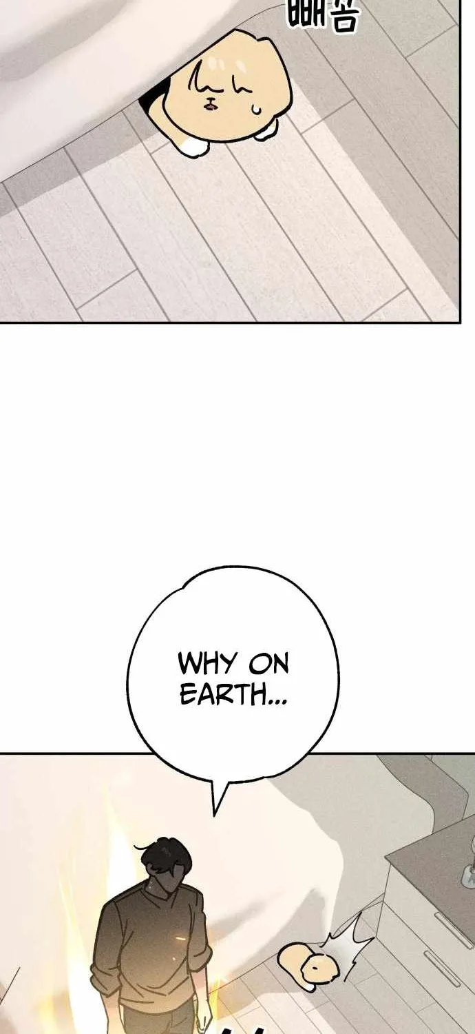 Read The Devilish Son-In-Law chapter 50 image 55 on Lezhin