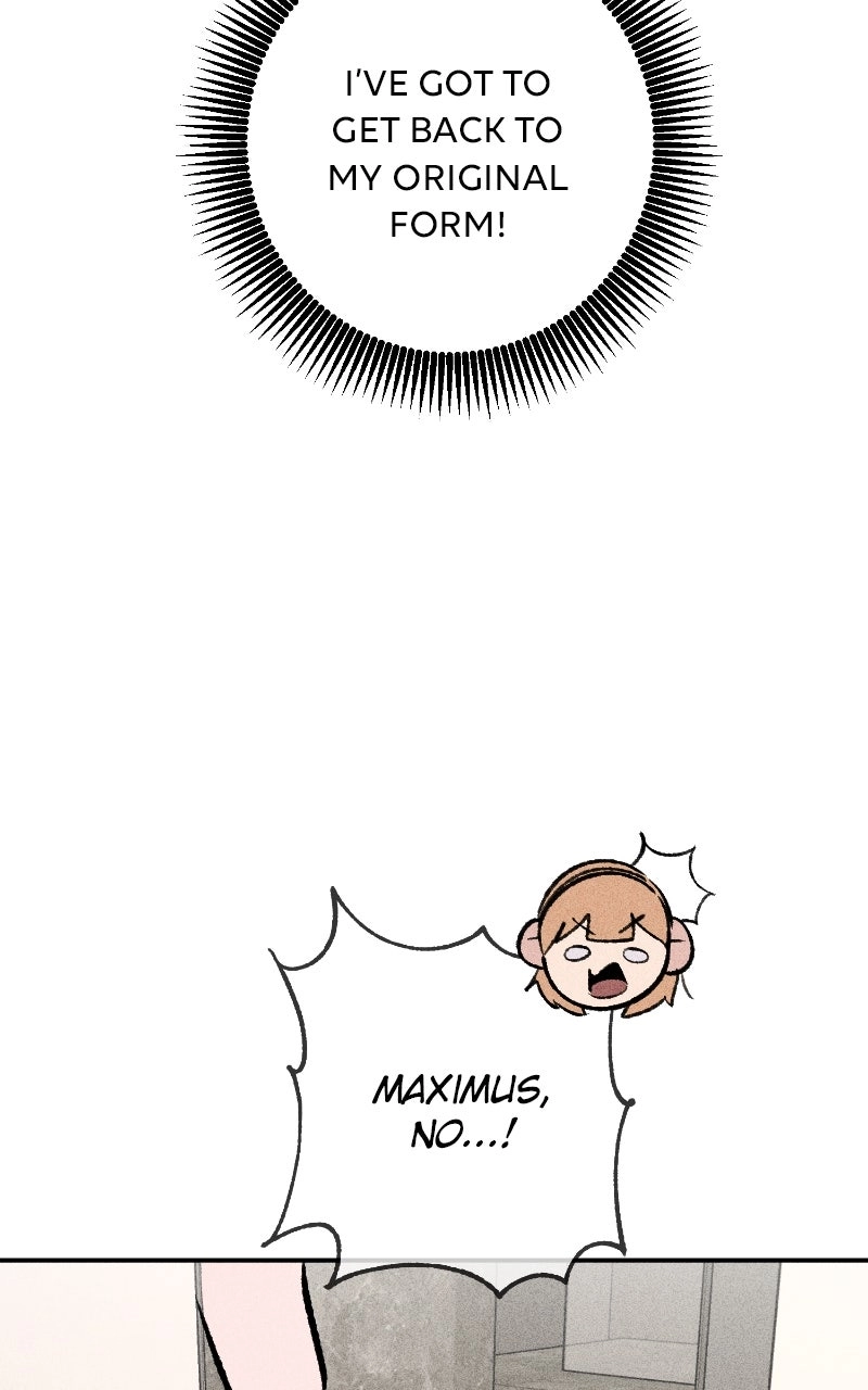 Read The Devilish Son-In-Law chapter 60 image 23 on Lezhin