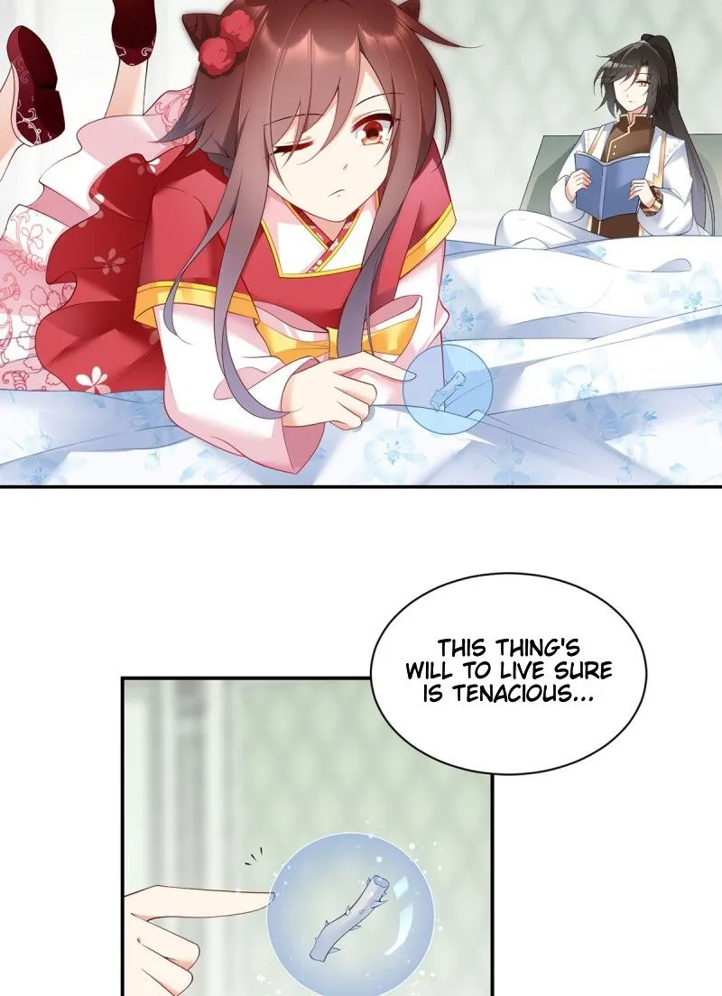 Read The Distinguished Cute Master chapter 192 image 3 on Lezhin