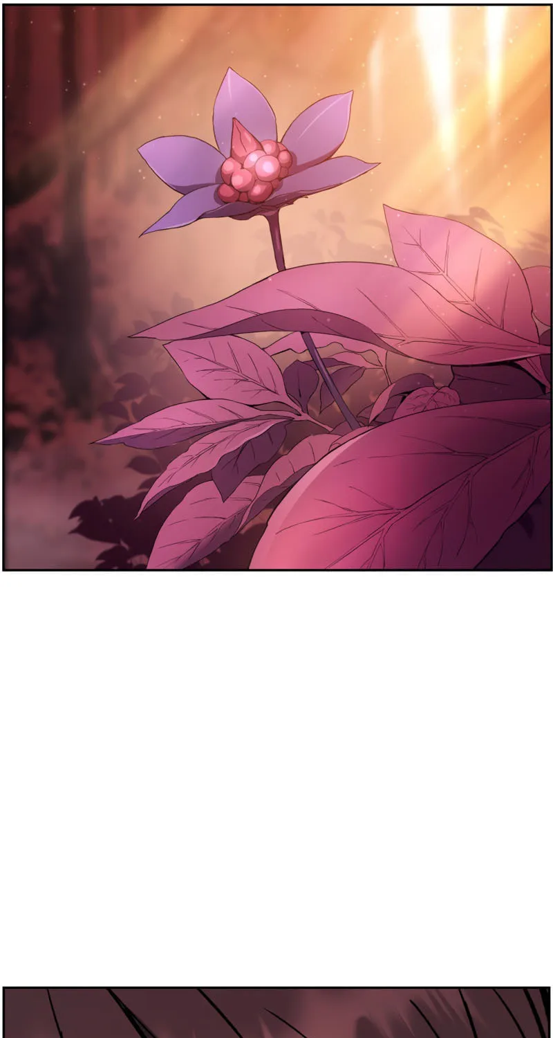 Read The Divine Twilight