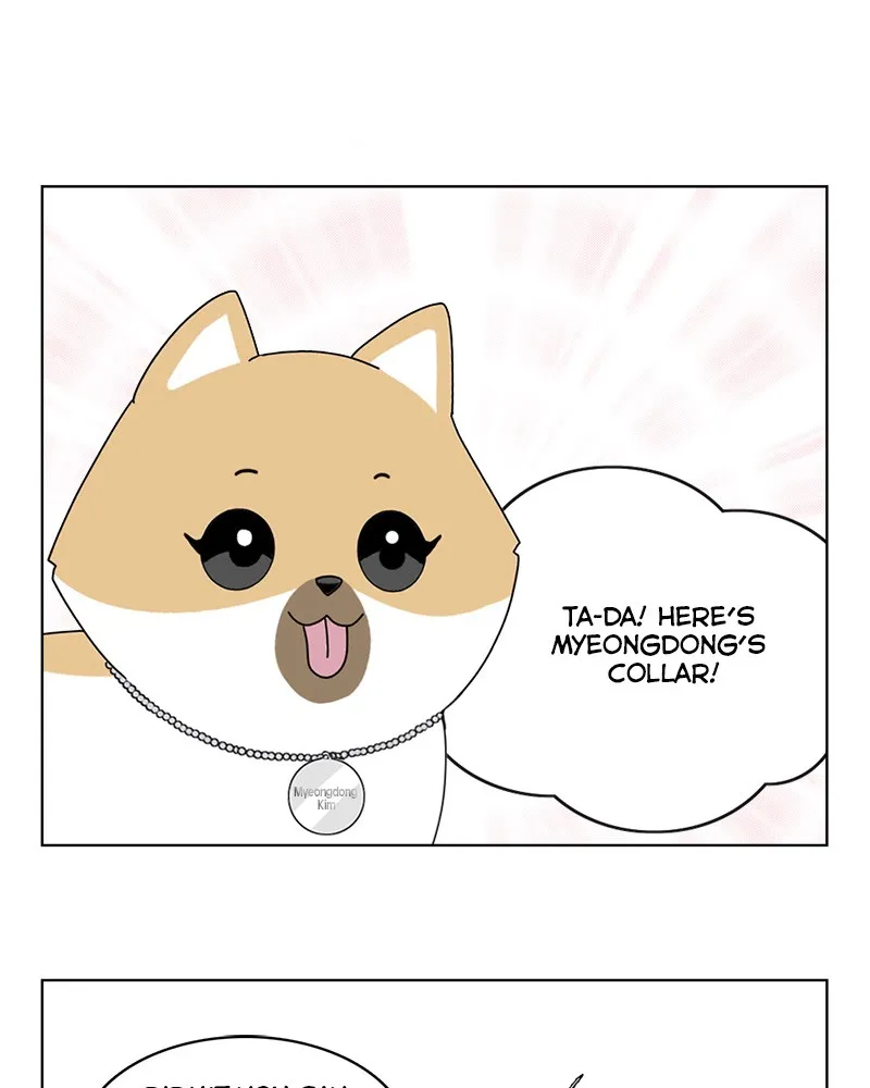 Read The Dog Diaries chapter 10 image 0 on Lezhin