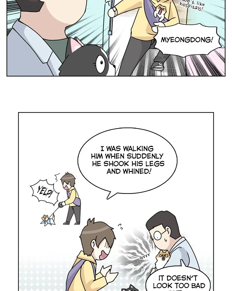 Read The Dog Diaries chapter 10 image 12 on Lezhin