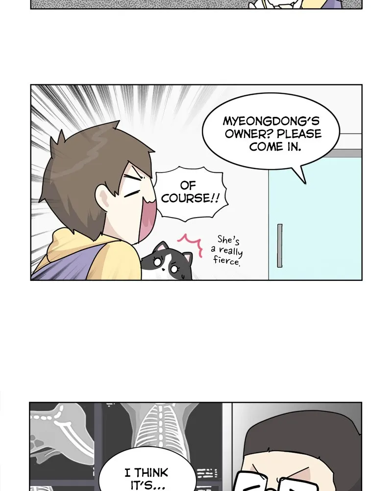 Read The Dog Diaries chapter 10 image 17 on Lezhin