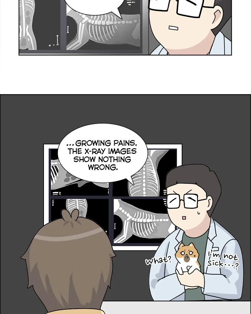 Read The Dog Diaries chapter 10 image 18 on Lezhin