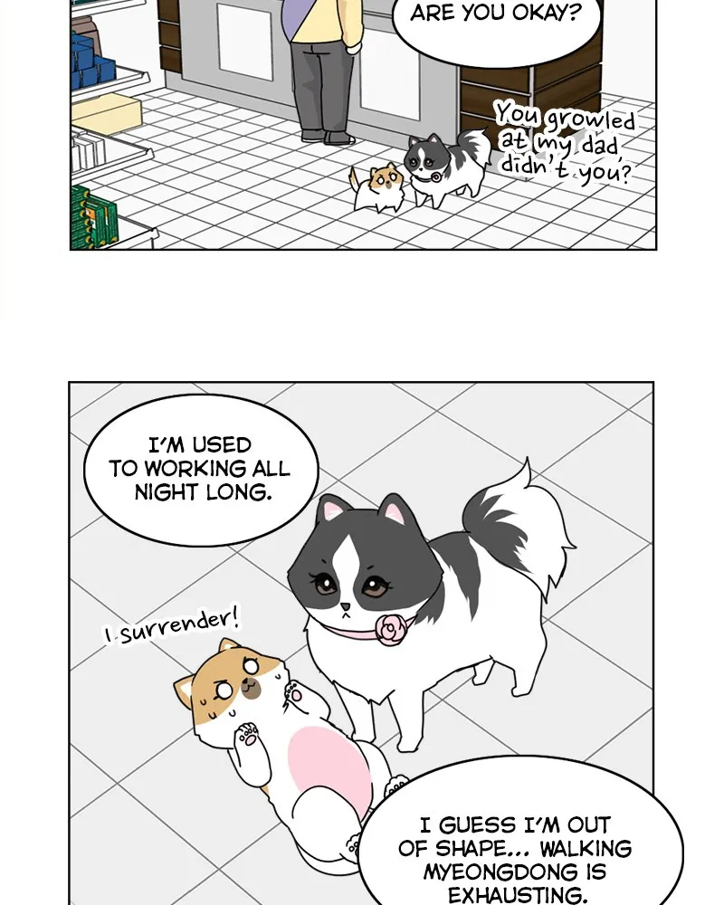Read The Dog Diaries chapter 10 image 22 on Lezhin