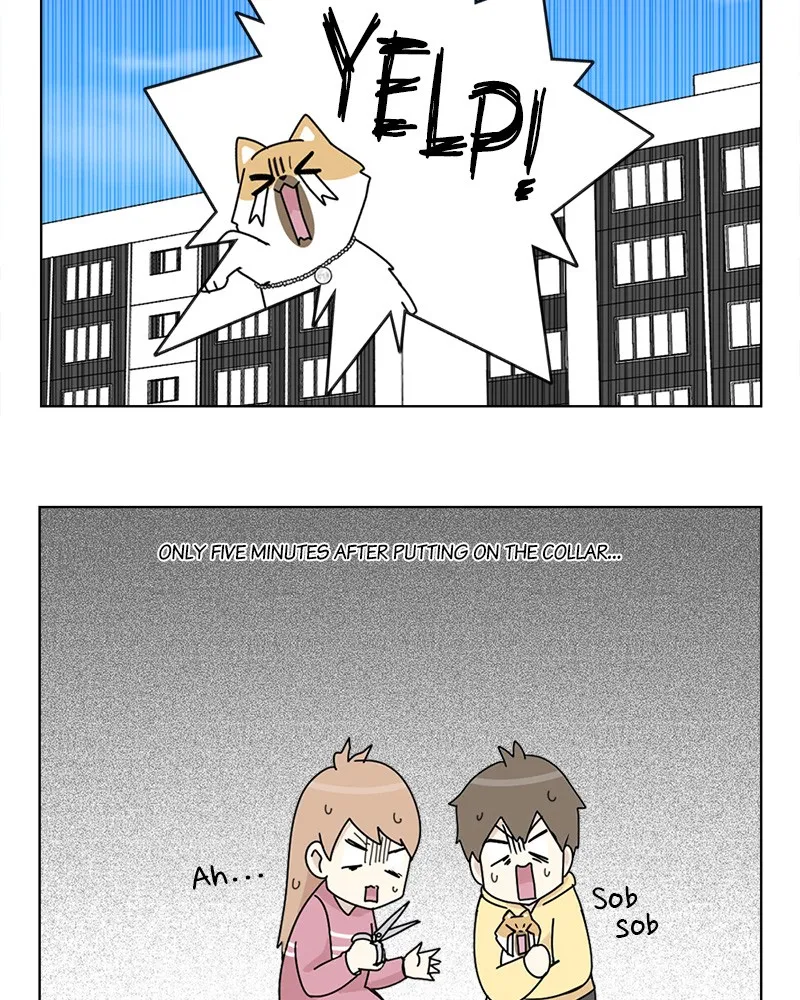 Read The Dog Diaries chapter 10 image 4 on Lezhin
