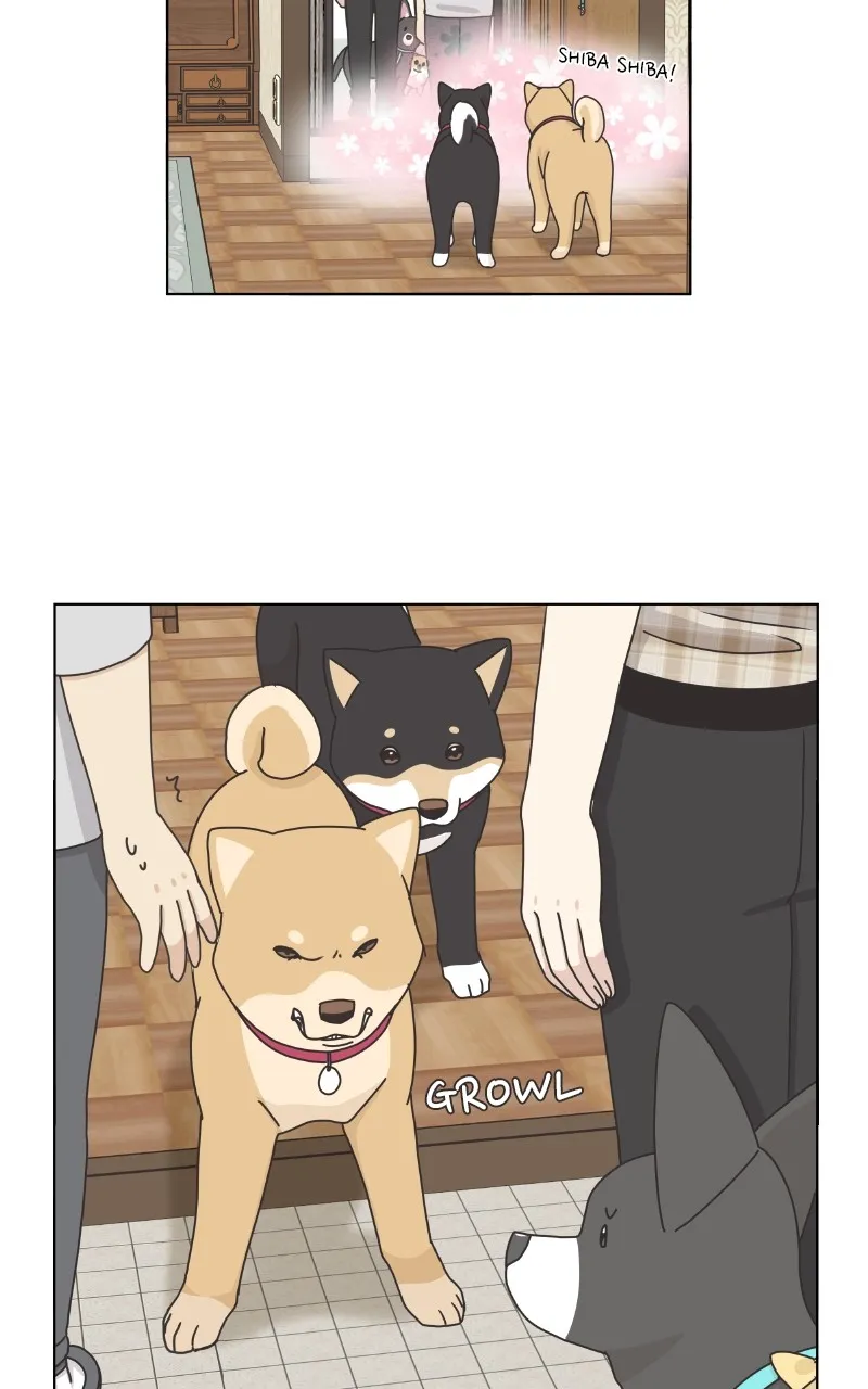 Read The Dog Diaries chapter 102 image 10 on Lezhin