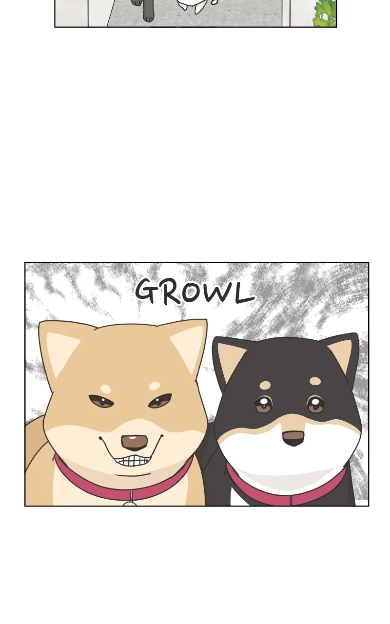 Read The Dog Diaries chapter 102 image 12 on Lezhin