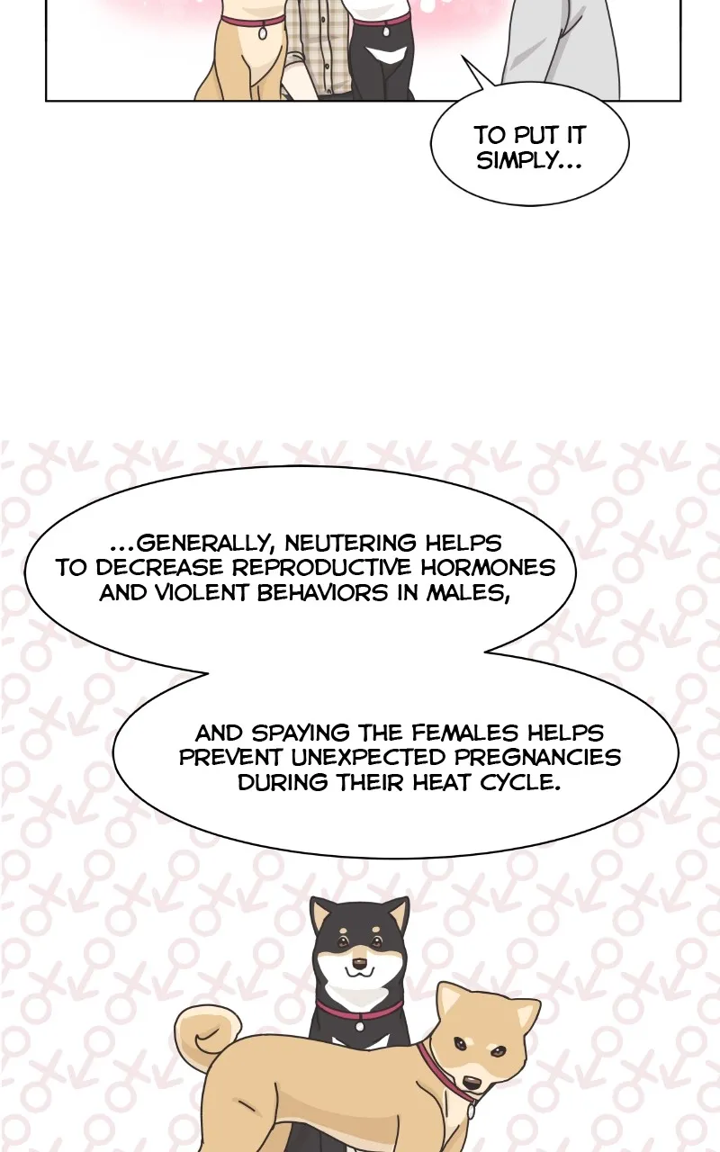 Read The Dog Diaries chapter 102 image 17 on Lezhin
