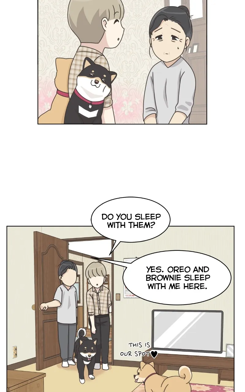 Read The Dog Diaries chapter 102 image 19 on Lezhin