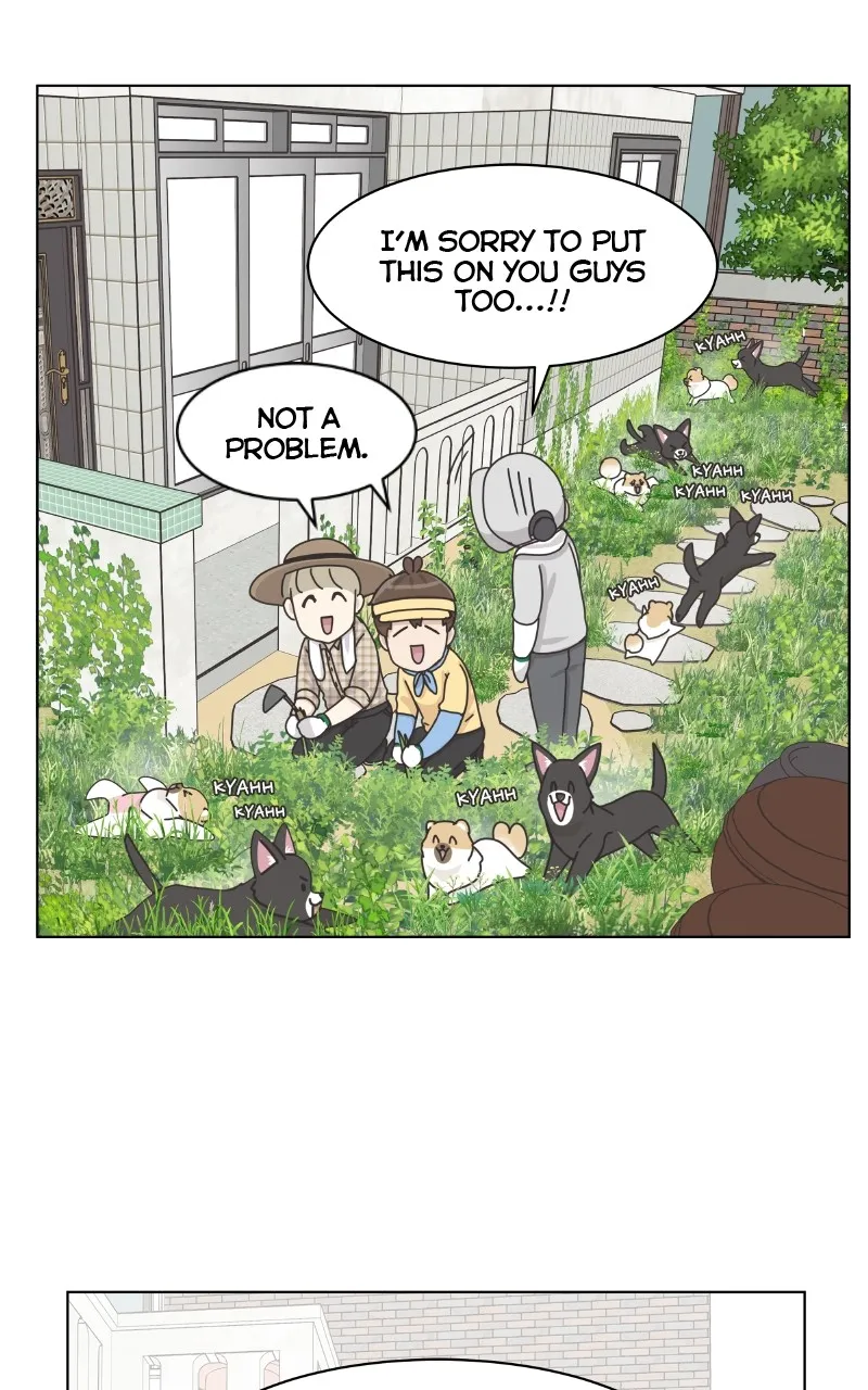 Read The Dog Diaries chapter 102 image 31 on Lezhin