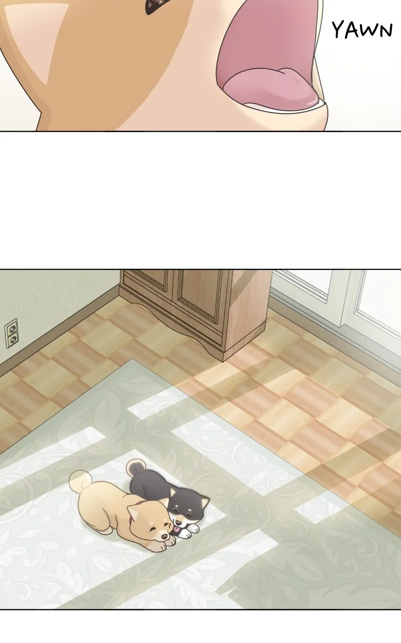 Read The Dog Diaries chapter 102 image 46 on Lezhin