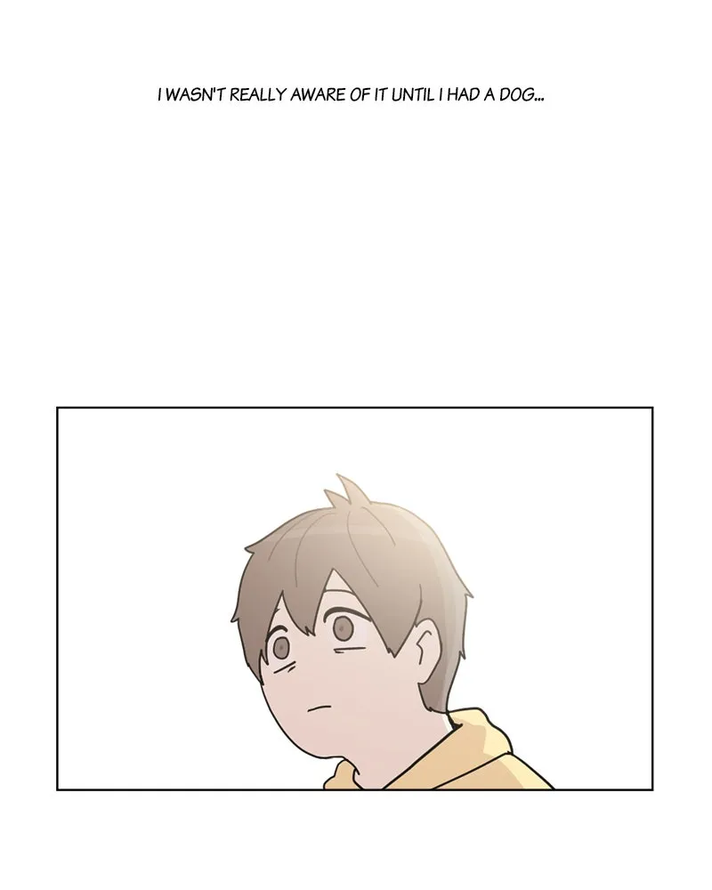 Read The Dog Diaries chapter 12 image 19 on Lezhin