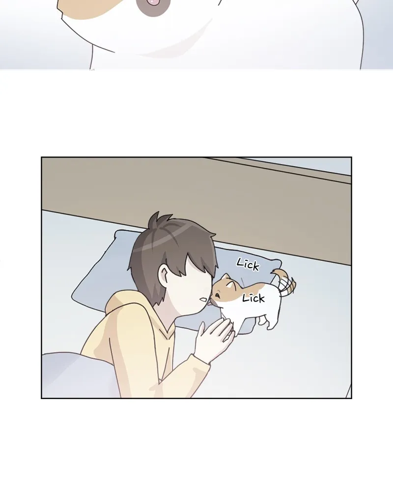 Read The Dog Diaries chapter 12 image 2 on Lezhin
