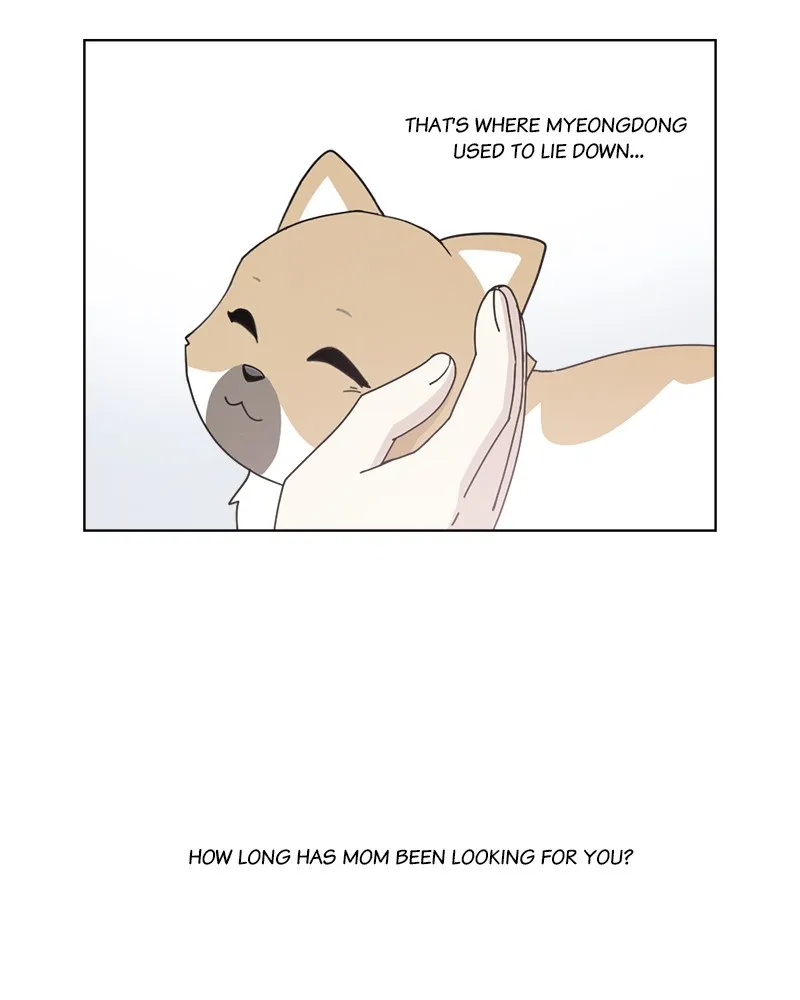 Read The Dog Diaries chapter 12 image 3 on Lezhin