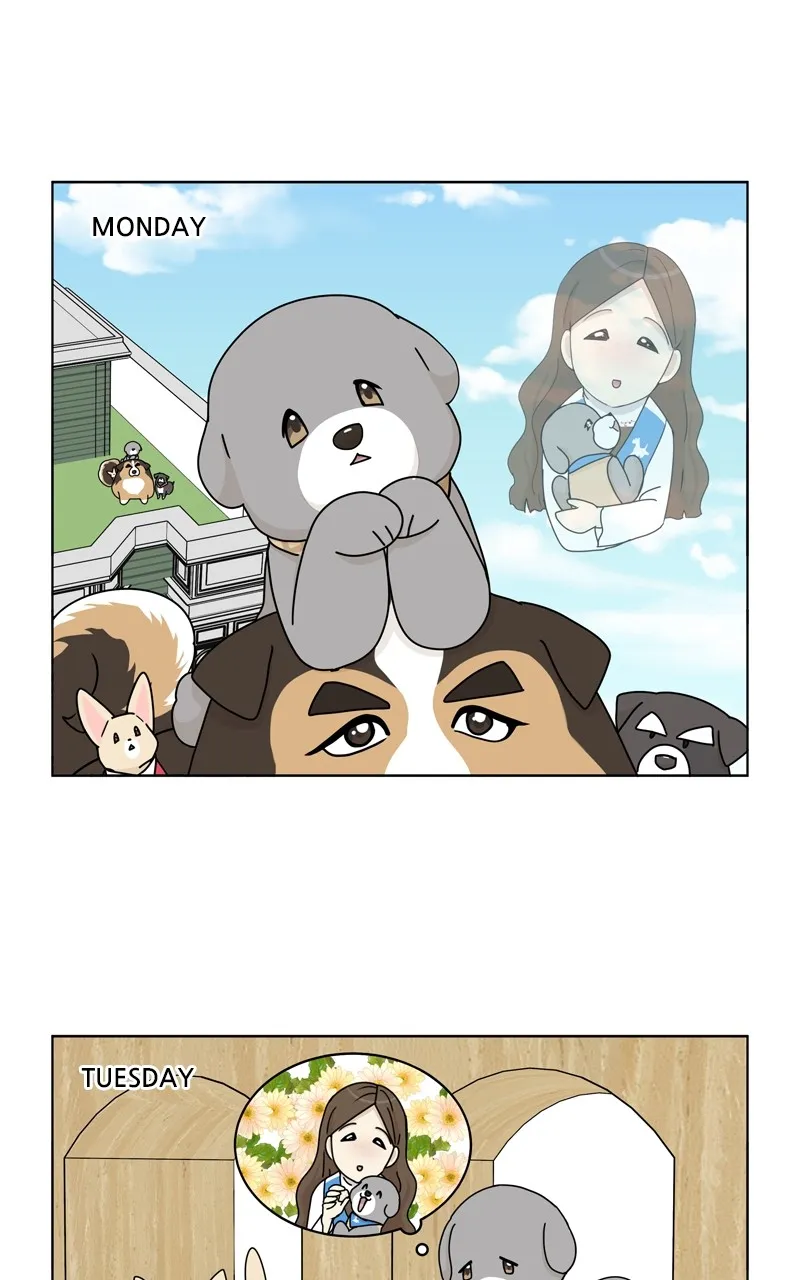 Read The Dog Diaries chapter 121 image 0 on Lezhin