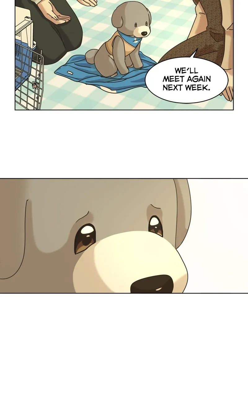 Read The Dog Diaries chapter 121 image 43 on Lezhin