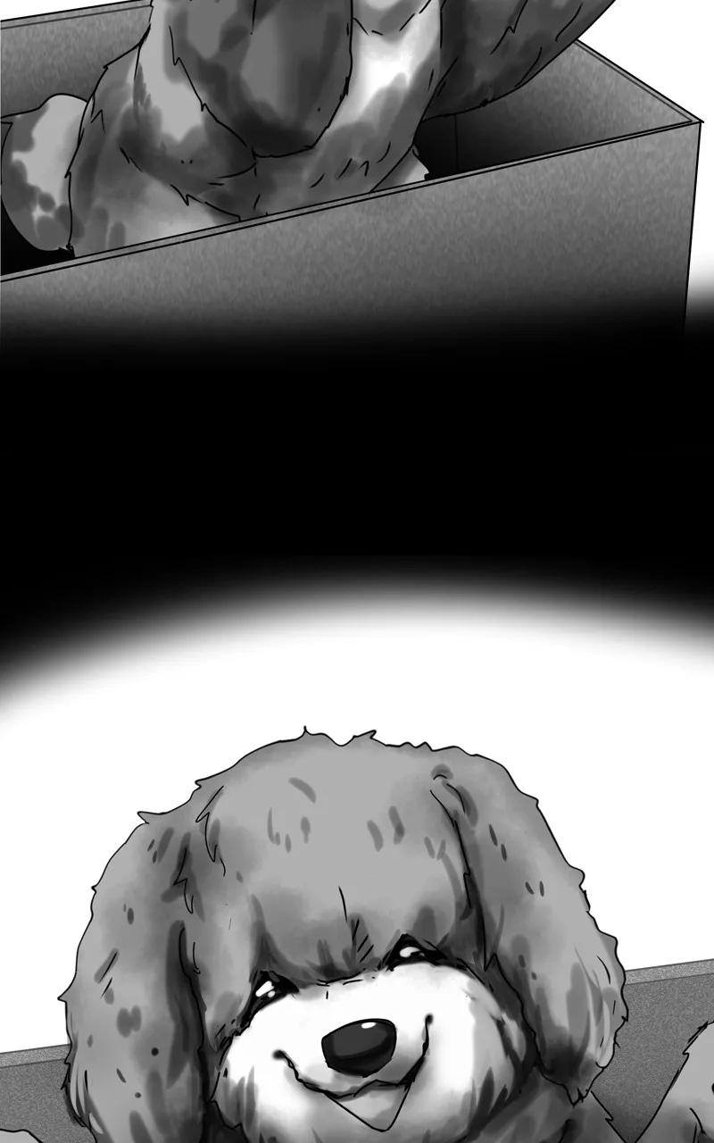 Read The Dog Diaries chapter 121 image 49 on Lezhin