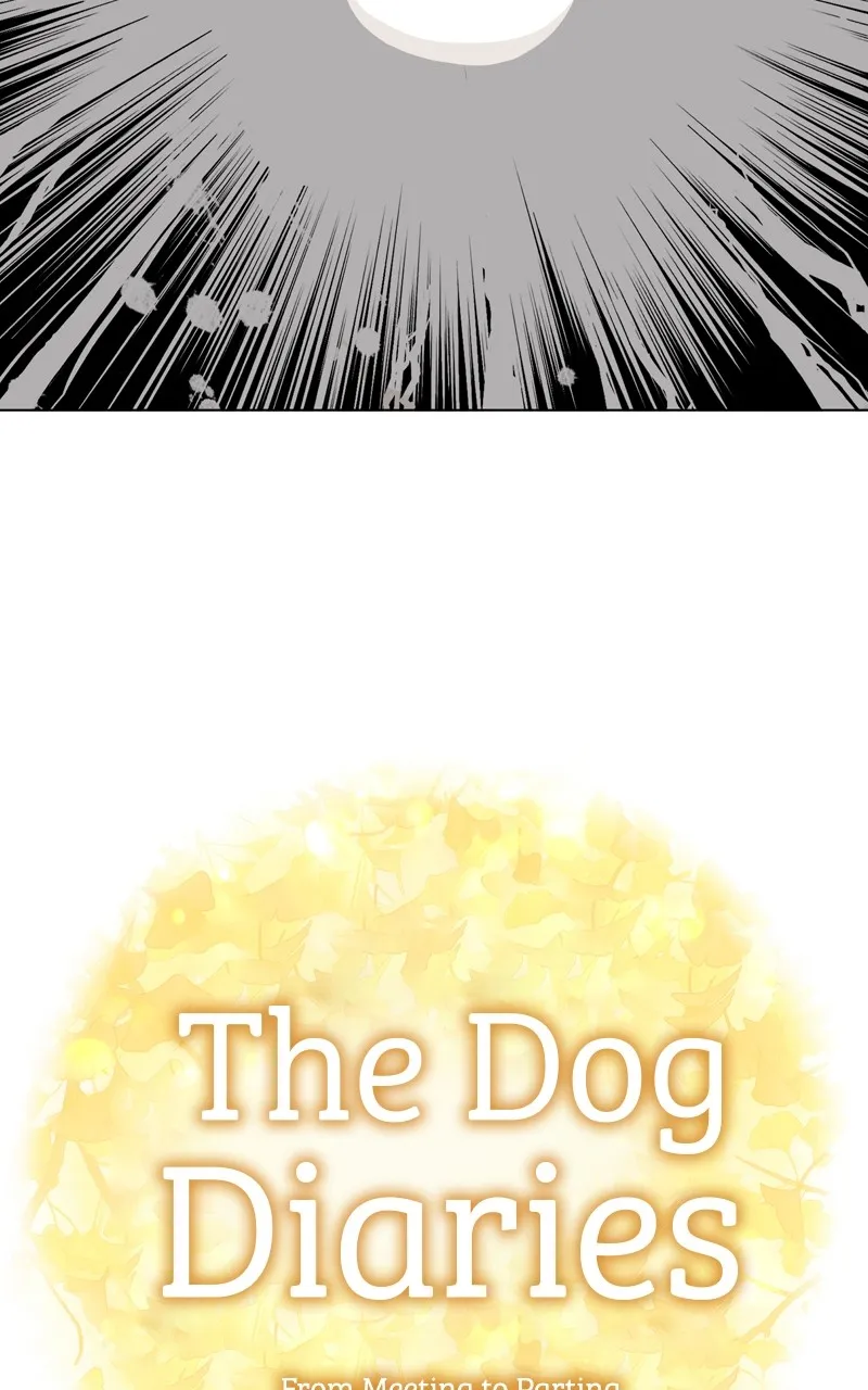 Read The Dog Diaries chapter 121 image 6 on Lezhin