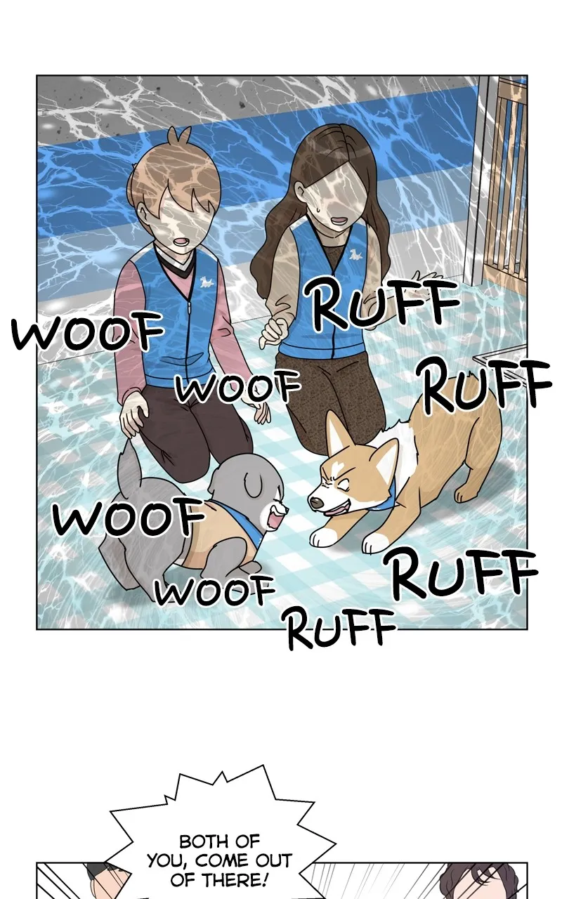 Read The Dog Diaries chapter 121 image 9 on Lezhin