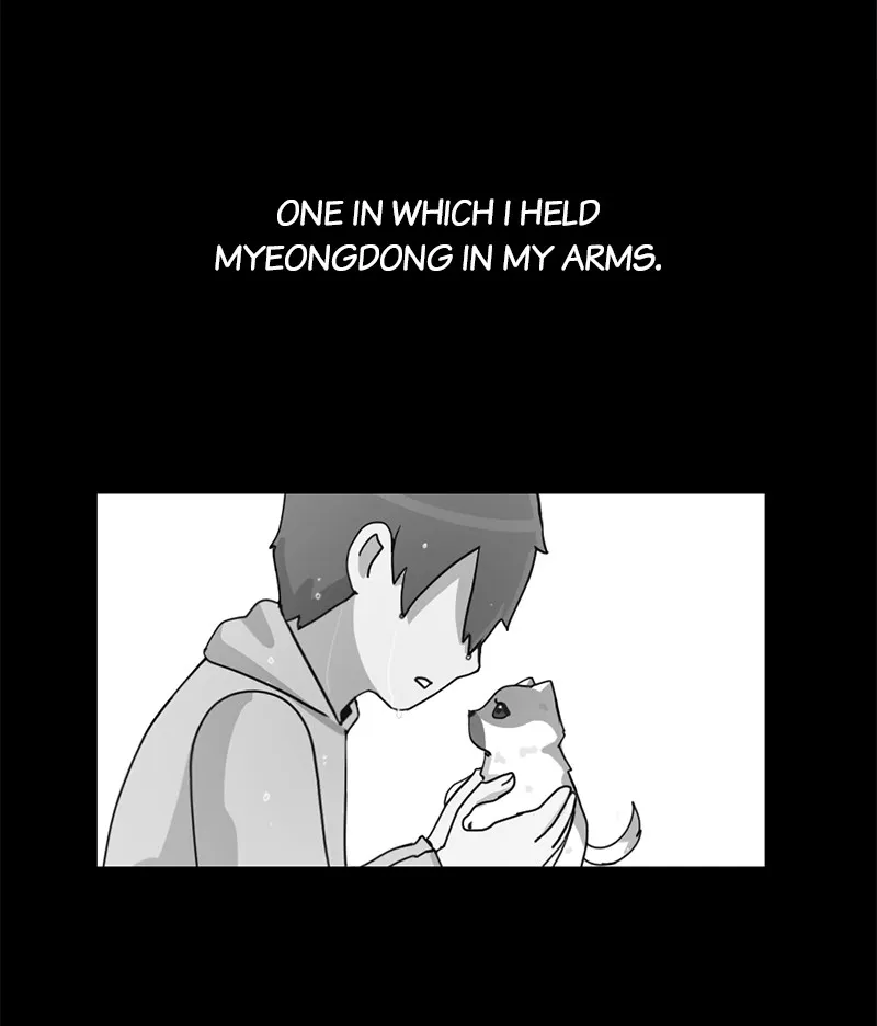 Read The Dog Diaries chapter 13 image 2 on Lezhin