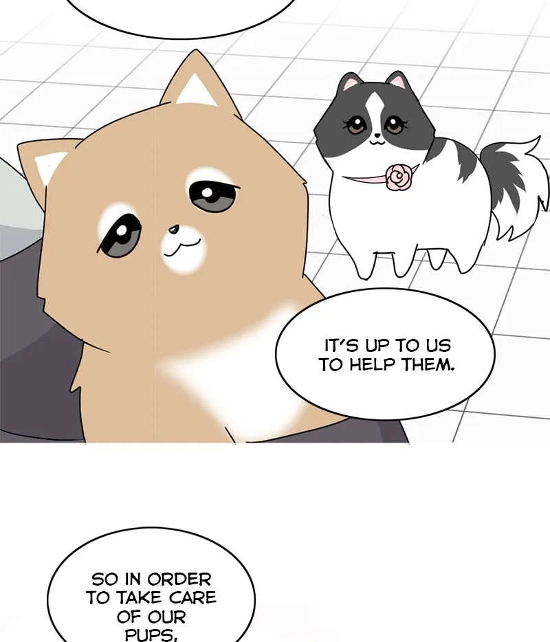 Read The Dog Diaries chapter 13 image 40 on Lezhin